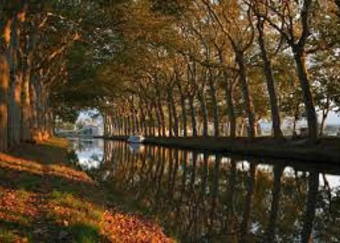 Au Pied De La Cite Apartament Carcassonne